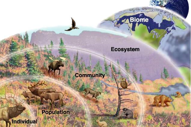 The Diversity of Living Things and Where They Live!