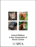 Animal Welfare: A Key Component in Social Justice